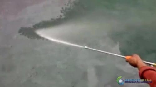 AQUAQUICK 2000 curățarea deversărilor de petrol în orașul Cebu 134