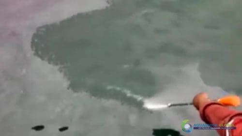 AQUAQUICK 2000 curățarea deversării de petrol în orașul Cebu 137