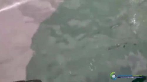 AQUAQUICK 2000 curățarea deversării de petrol în orașul Cebu 142