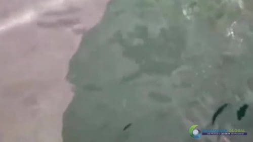 AQUAQUICK 2000 curățarea deversării de petrol în orașul Cebu 143