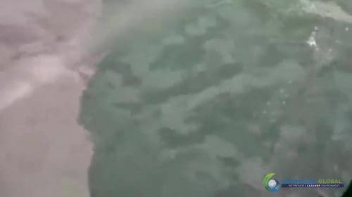 AQUAQUICK 2000 curățarea deversărilor de petrol în orașul Cebu 144