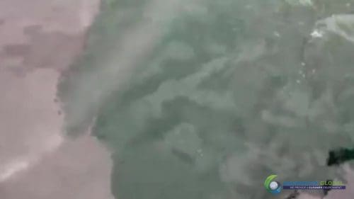 AQUAQUICK 2000 curățarea deversărilor de petrol în orașul Cebu 145