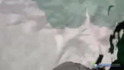 AQUAQUICK 2000 curățarea deversărilor de petrol în orașul Cebu 150