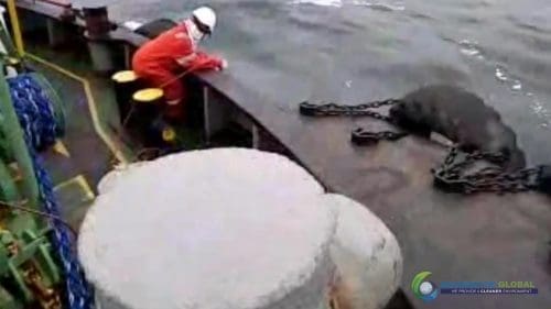 AQUAQUICK 2000 oil spill cleanup in cebu city part 020