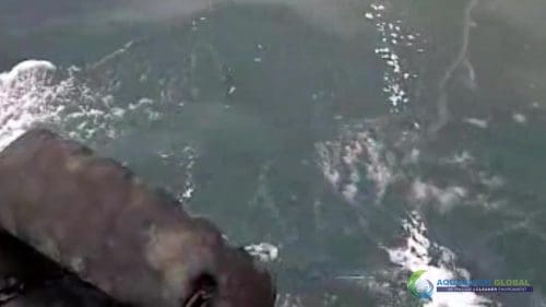 AQUAQUICK 2000 oil spill cleanup in cebu city part 029