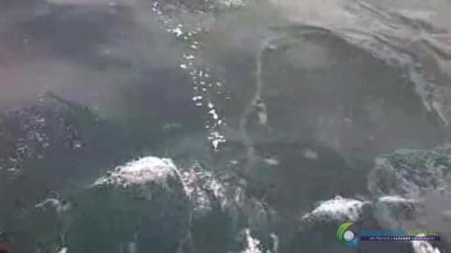 AQUAQUICK 2000 oil spill cleanup in cebu city part 030