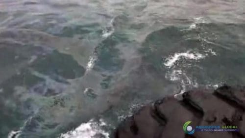 AQUAQUICK 2000 oil spill cleanup in cebu city part 034