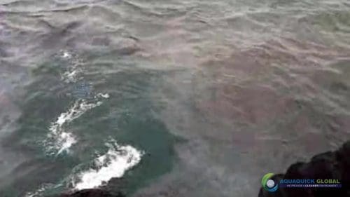 AQUAQUICK 2000 oil spill cleanup in cebu city part 037