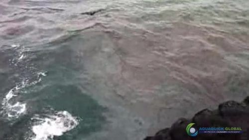 AQUAQUICK 2000 oil spill cleanup in cebu city part 038