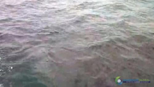 AQUAQUICK 2000 oil spill cleanup in cebu city part 041