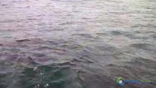 AQUAQUICK 2000 oil spill cleanup in cebu city part 042