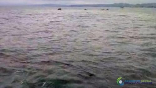 AQUAQUICK 2000 oil spill cleanup in cebu city part 043