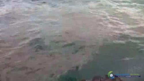 AQUAQUICK 2000 oil spill cleanup in cebu city part 047