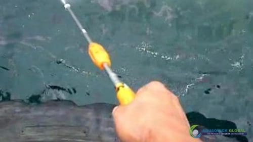 AQUAQUICK 2000 oil spill cleanup in cebu city part 070