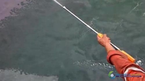 AQUAQUICK 2000 oil spill cleanup in cebu city part 084