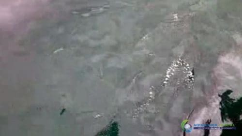 AQUAQUICK 2000 oil spill cleanup in cebu city part 106