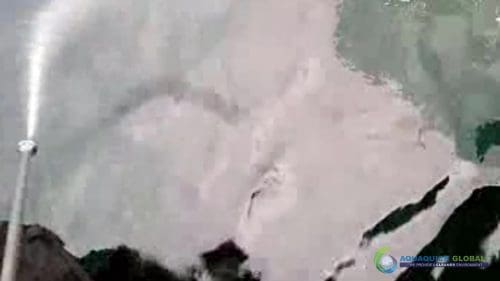 AQUAQUICK 2000 oil spill cleanup in cebu city part 112