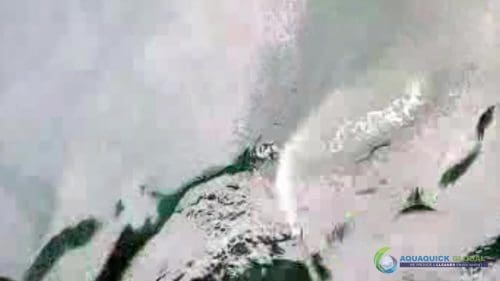 AQUAQUICK 2000 oil spill cleanup in cebu city part 113