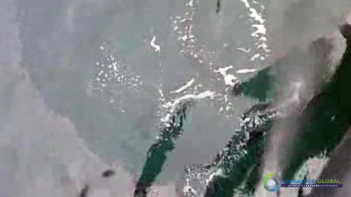 AQUAQUICK 2000 oil spill cleanup in cebu city part 118