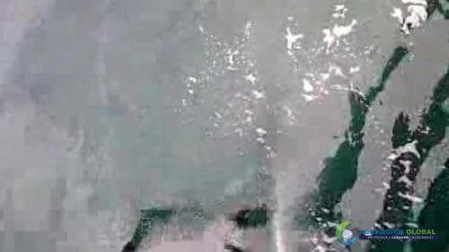 AQUAQUICK 2000 oil spill cleanup in cebu city part 121