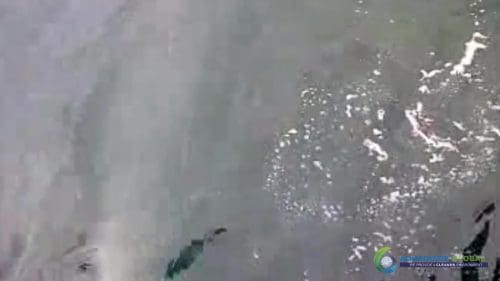 AQUAQUICK 2000 oil spill cleanup in cebu city part 123