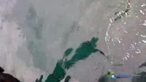 AQUAQUICK 2000 oil spill cleanup in cebu city part 126