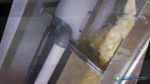 AQUAQUICK KFC Grease Trap Cleaning 058