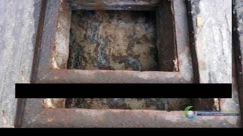AQUAQUICK KFC Grease Trap Cleaning 084