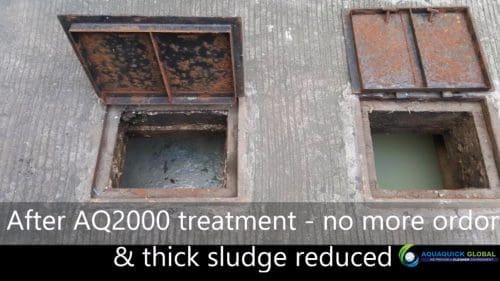 AQUAQUICK KFC Grease Trap Cleaning 104