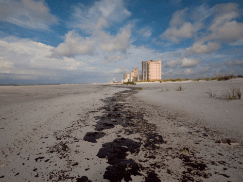 oil spill cleanup