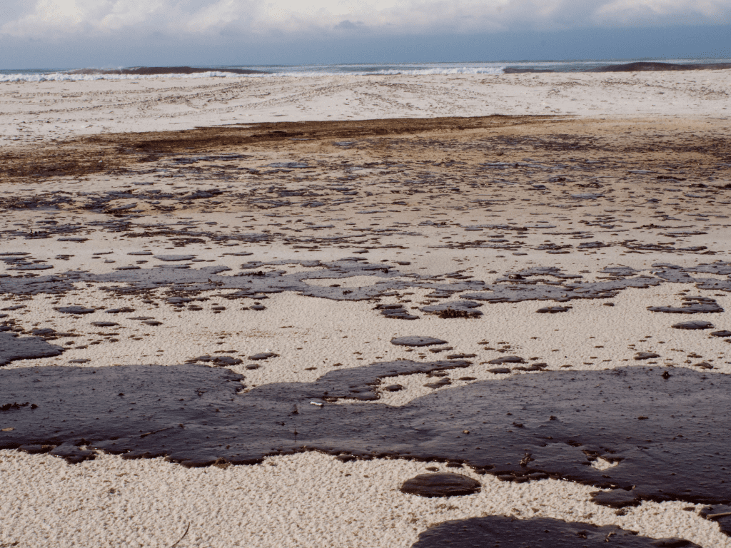 Understanding the Causes of Oil Spills, Their Impacts, and Future Perspectives 2 image. 2024 05 02T051128.144