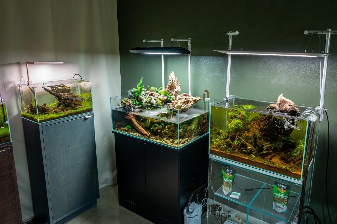 Marine Tank Filtration: Ensuring Optimal Performance and Longevity 4 filtrazione dei serbatoi marini