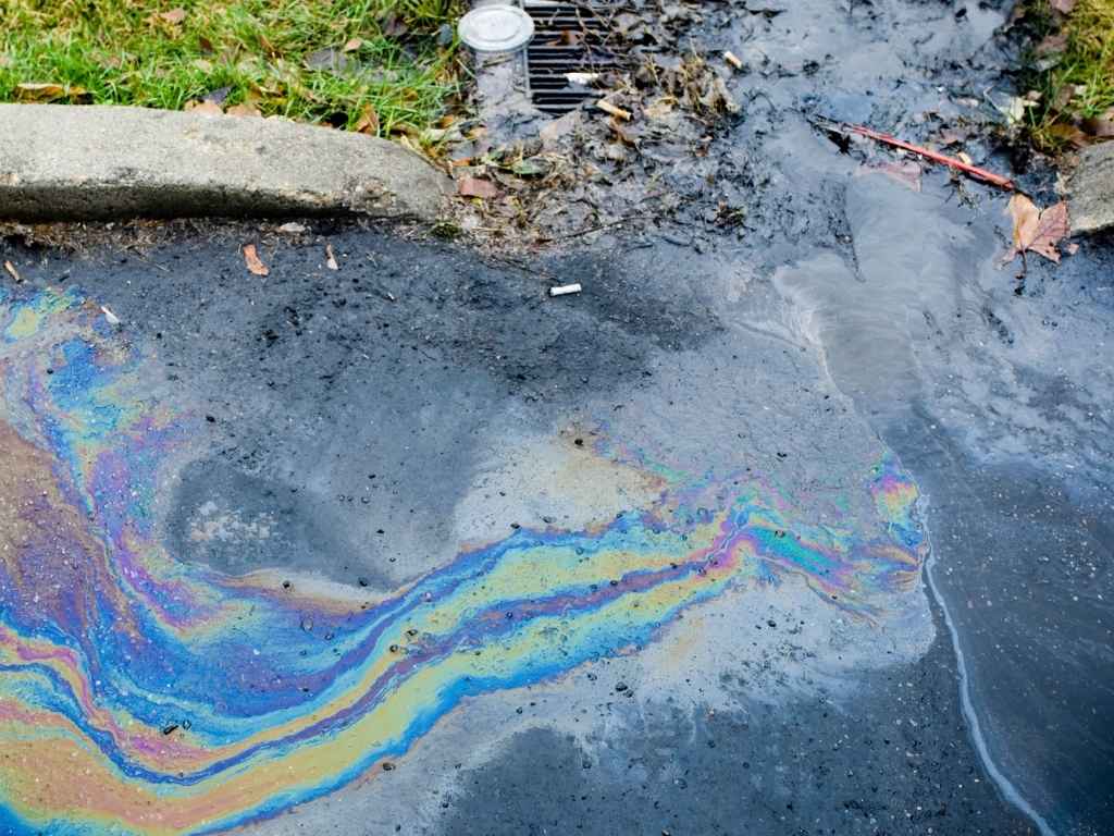 The Impact of Oil Spills in the Caribbean Sea