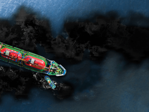 How Many Marine Animals Die from Oil Spills a Day