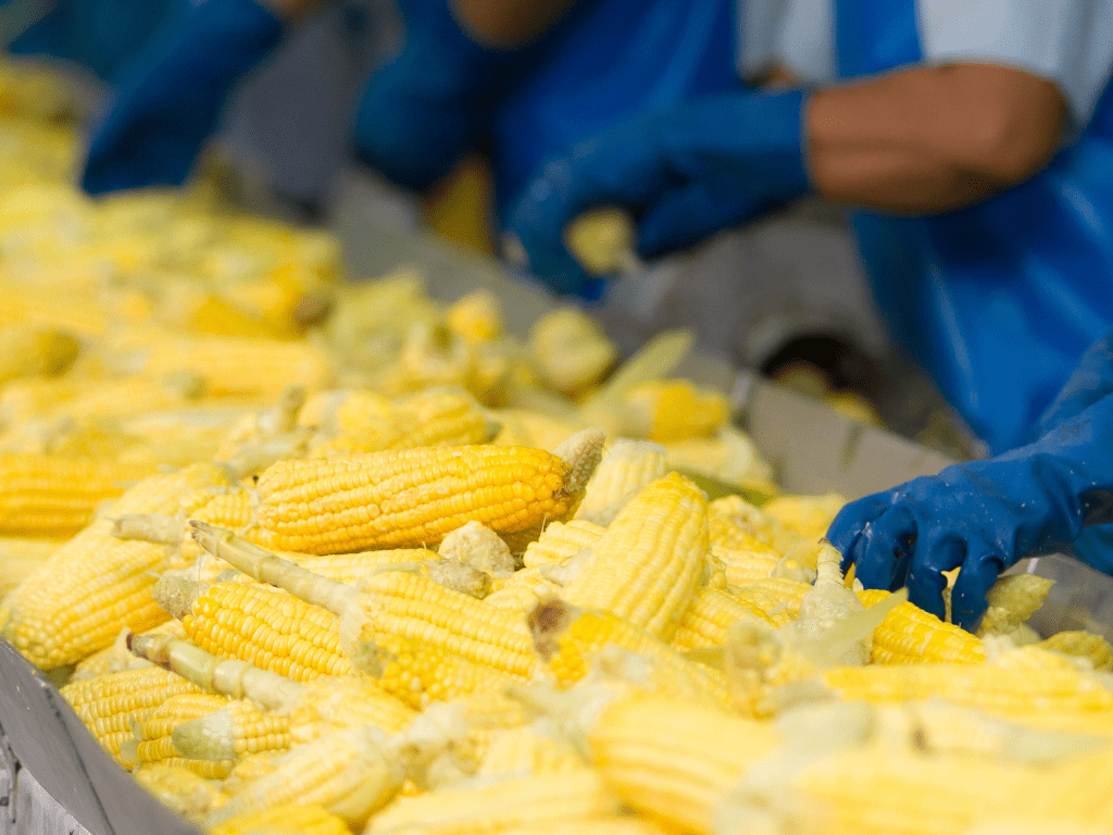 Non-Toxic Cleaners in Food Processing Plants