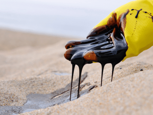 oil spill cleaning 2