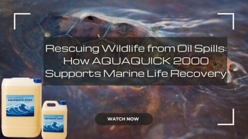 Rescuing Wildlife